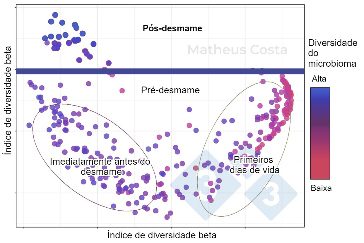 <p>Figura&nbsp;1. Diagrama de dispers&atilde;o mostrando as associa&ccedil;&otilde;es entre a composi&ccedil;&atilde;o do microbioma do porco durante os primeiros dias de vida (0-7 dias), imediatamente antes do desmame (21 dias) e ap&oacute;s o desmame (100 dias). A maior mudan&ccedil;a &eacute; observada entre as amostras pr&eacute;-desmame e p&oacute;s-desmame. Picos de diversidade alfa ap&oacute;s o desmame (mostrado como "diversidade do microbioma").</p>
